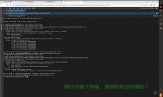 VPS自建数据库详解，高效数据存储方案的轻松搭建之路