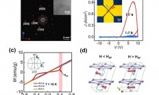 北京工业大学理学部王晓蕾副教授团队在磁-电多态存储器研究领域取得重要进展