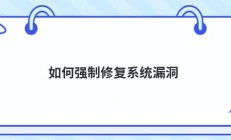 如何强制修复系统漏洞
