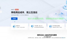 VPS电信业务全解析，优势、应用与未来展望