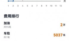 揭秘购车时VPS费用真相，隐藏成本大解析！