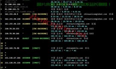 揭秘何兰VPS延迟，全面解析网络速度与性能优化之道