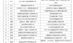 湖南铺排30个电子信息制造业重点项目 多个集成电路及半导体项目入列