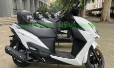大阳VPS踏板故障详解，问题解析与解决方案全攻略！