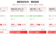 独家推荐，国内最实惠的VPS选择！