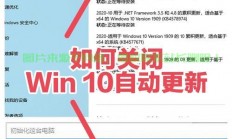 解决Win10系统更新缓慢问题的方法与技巧