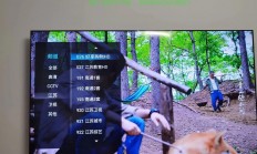 电信优选VPS，畅享稳定高速的网络之旅