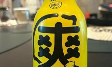 VPS创建酸酸乳，超详细上手教程，轻松掌握！