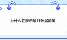 为什么在表示层对数据加密