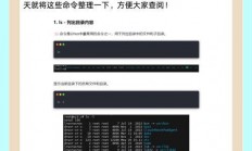 VPS服务器命令详解，轻松成为核心操作高手