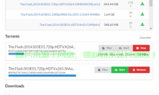 独家指南，VPS助力BT种子下载，安全与速度双保障！