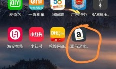 亚马逊VPS登录APP，轻松上手，一键操作指南！