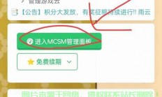 怎么开手机版mc服务器?