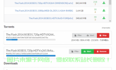 独家分享，VPS上的BT下载终极秘籍！