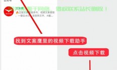 揭秘视频下载秘籍，轻松获取优质资源，一键掌握正确方法！