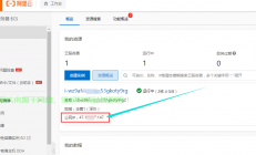 怎么查看系统服务器ip?