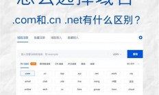 VPS域名使用指南，从解析步骤到高级技巧，一文掌握！