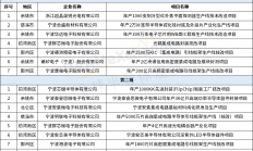 宁波公示集成电路产业投资项目名单，安集微/群芯微等上榜