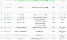 热门流量VPS选择秘籍，轻松获取高速稳定节点，你的上网加速利器！