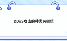 DDoS攻击的种类有哪些