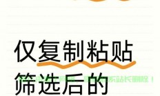 VPS复制粘贴操作详解，轻松解决粘贴难题！