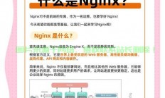 VPS跟单秘籍，轻松上手，赚钱更高效！
