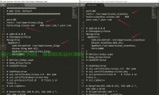 VPS RuTorrent一键搭建，高效下载管理轻松实现指南