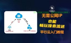 VPS没有公网IP怎么办？解决方法大揭秘！