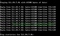 VPS Ping测试大解析，揭秘网络延迟与稳定性的核心指标