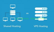 VPS与CDN深度解析，核心差异与应用特点