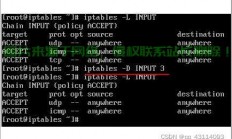 Linux下查看端口占用及终止进程的详细指南，如何在Linux中快速查看端口占用并终止相关进程？，Linux端口被占用？3秒教你快速查杀进程！