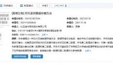比亚迪半导体公布“芯片及其数据存储方法”专利