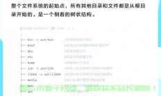 Linux FTP目录权限设置与管理指南，如何正确设置Linux FTP目录权限以避免安全风险？，Linux FTP目录权限设置不当，你的服务器安全正在被悄悄入侵？