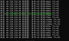 极速国内低延迟VPS首选推荐！助你畅享网络极速体验