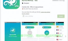 国外VPS加速，免费安装指南，一键极速上网体验