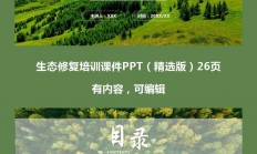 PPT修复秘籍，轻松解决文件损坏难题！