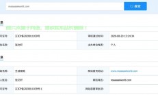 VPS备案域名使用指南，注意事项与操作步骤详解