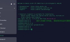 Vultr VPS连接疑难解析及实用解决方案