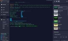 揭秘VPS，轻松上手使用指南！