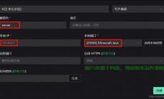 生存服务器怎么自己加插件?