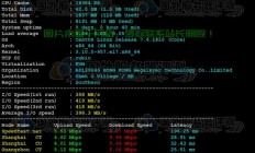 CN2香港VPS，企业极速网络解决方案的首选！
