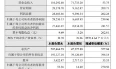 营收同增53.5%，净利大增240%...普冉股份科创板首份年报出炉