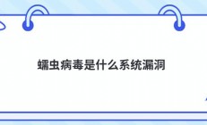 蠕虫病毒是什么系统漏洞