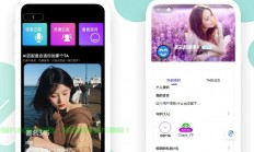 揭秘社交网源码，探索社交网络的构建与奥秘！