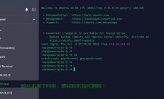 避免VPS进入待机状态，实用技巧保障在线状态稳定！