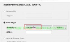 VPS SS连接指南，轻松掌握高效记录与管理技巧