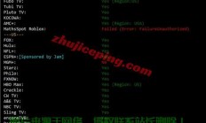 VPS内部网络揭秘，探索虚拟专用服务器的网络世界