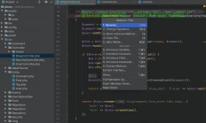 VPS上的PHP运行秘诀，高效Web应用轻松搭建指南