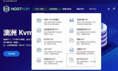 VPS使用指南，购买后的操作与运用技巧全解析