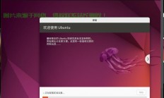 ubuntu怎么安装服务器?